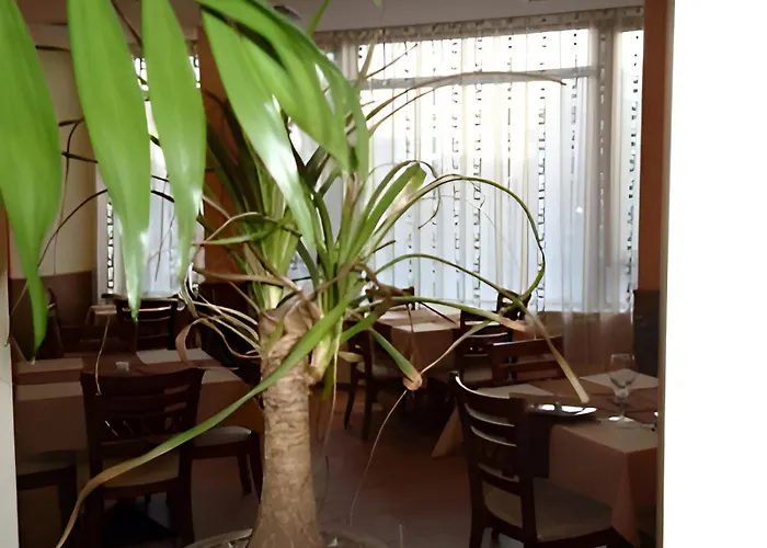 Hotel Elica